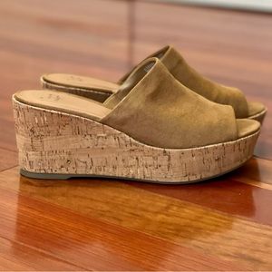 Women’s Platform Wedge Slide Sandals
